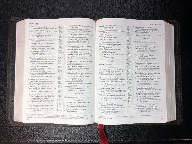 fzv0VjyuQGSFLERwO0RZkA